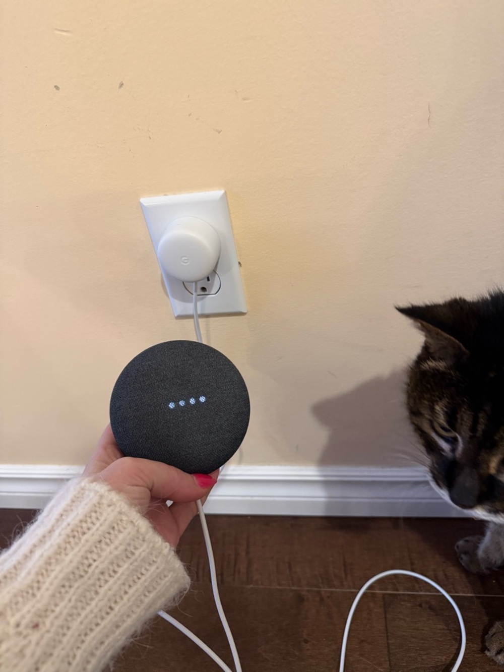 Google Nest Mini (2nd Generation)
